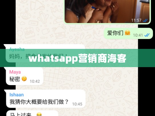 whatsapp营销商海客