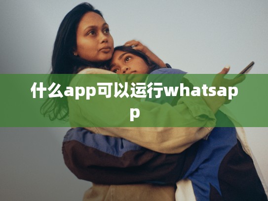 什么app可以运行whatsapp