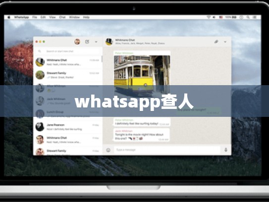 whatsapp查人
