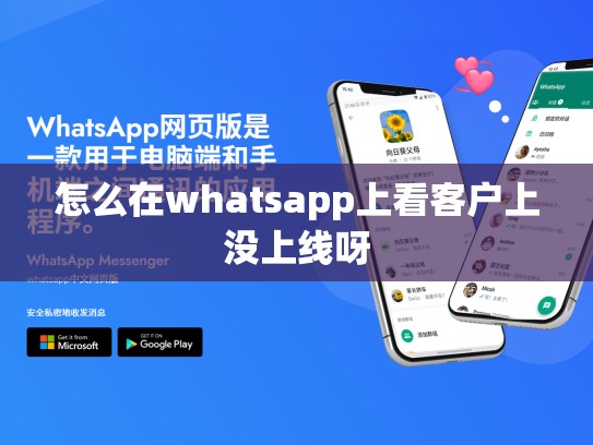 怎么在whatsapp上看客户上没上线呀