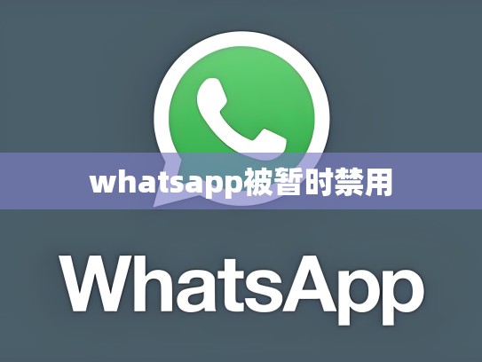 whatsapp被暂时禁用