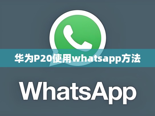 华为P20使用whatsapp方法