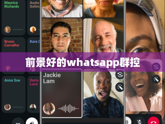 前景好的whatsapp群控