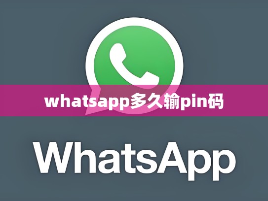 whatsapp多久输pin码