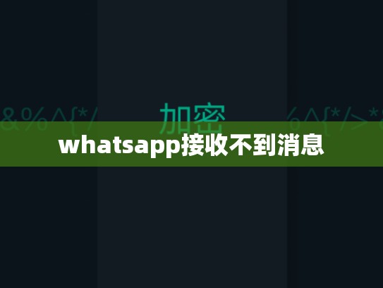 whatsapp接收不到消息