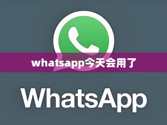 whatsapp今天会用了