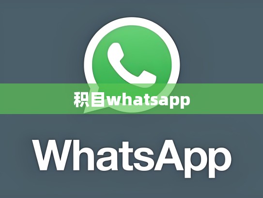 积目whatsapp