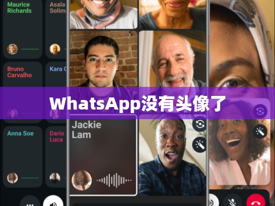 WhatsApp没有头像了