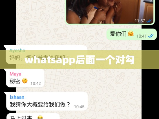 whatsapp后面一个对勾