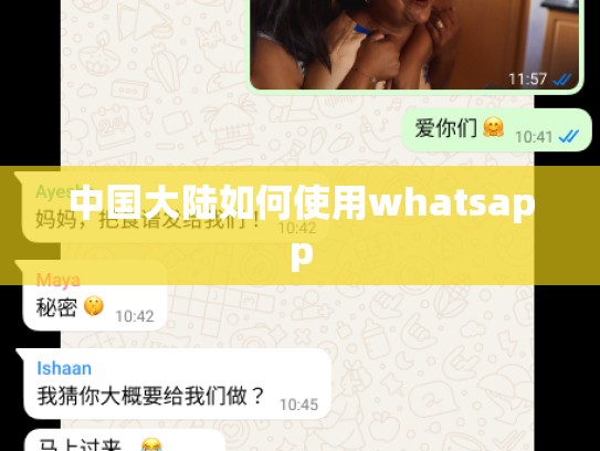 中国大陆如何使用whatsapp