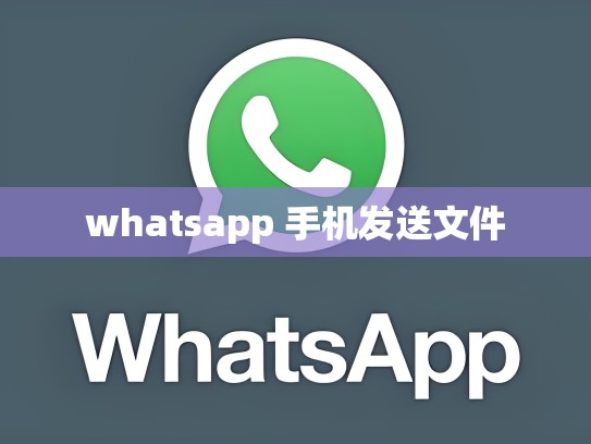 whatsapp 手机发送文件