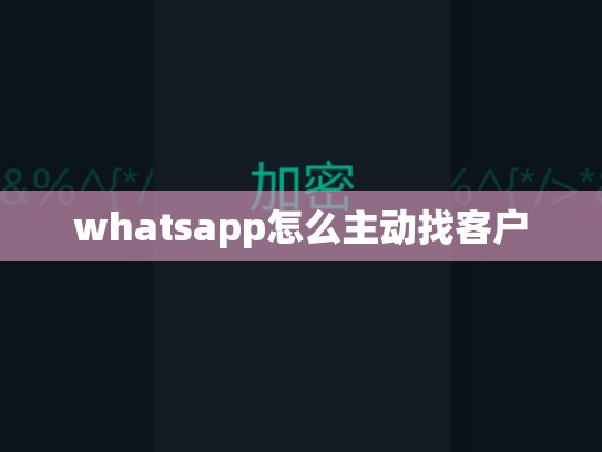 whatsapp怎么主动找客户
