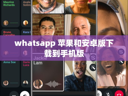 whatsapp 苹果和安卓版下载到手机版