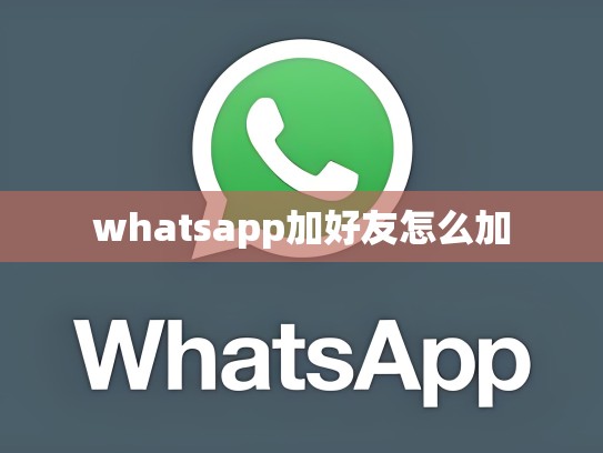 whatsapp加好友怎么加