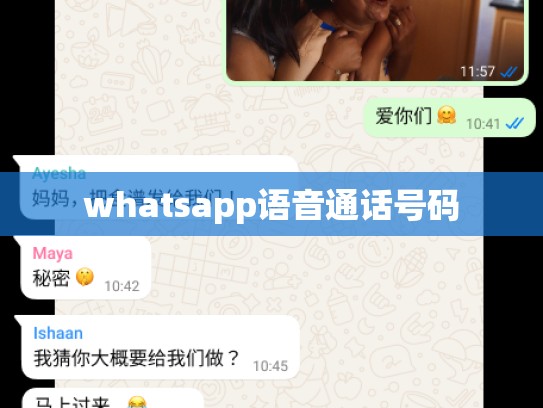 whatsapp语音通话号码