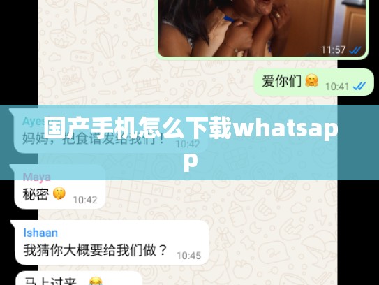 国产手机怎么下载whatsapp