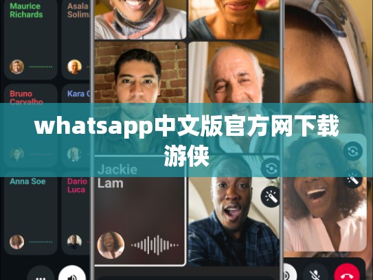whatsapp中文版官方网下载游侠