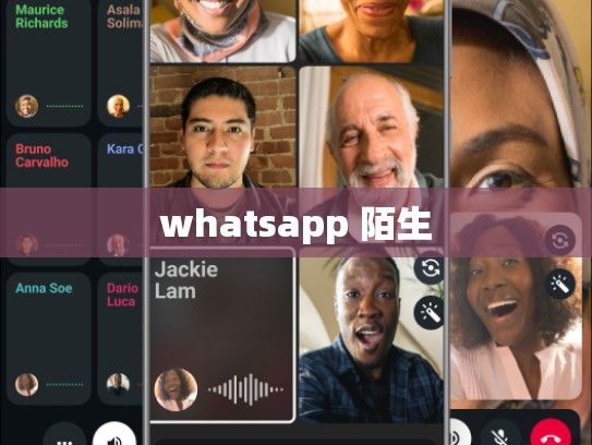 whatsapp 陌生