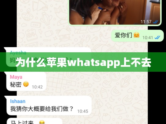 为什么苹果whatsapp上不去