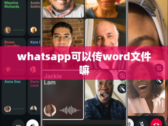 whatsapp可以传word文件嘛