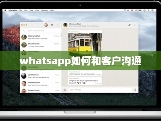 whatsapp如何和客户沟通