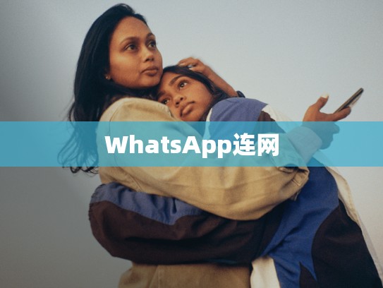 WhatsApp连网