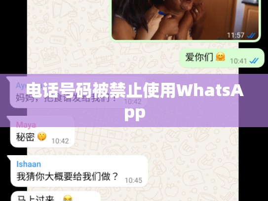 电话号码被禁止使用WhatsApp