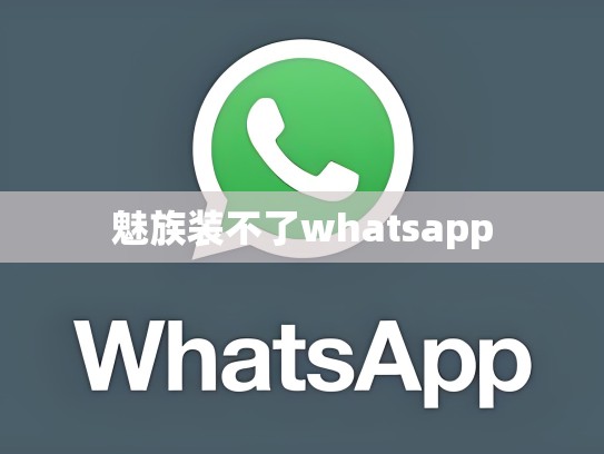 魅族装不了whatsapp