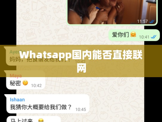 Whatsapp国内能否直接联网