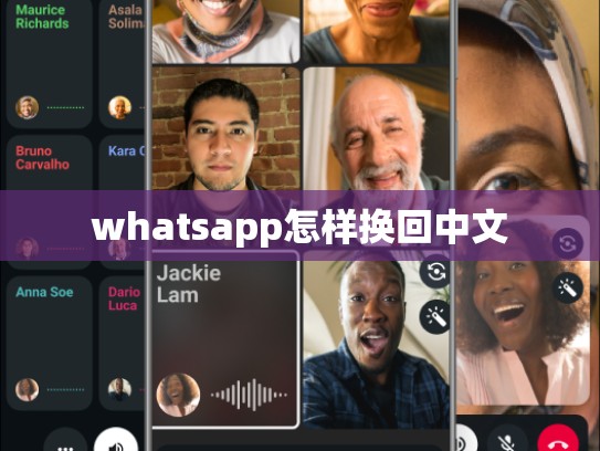 whatsapp怎样换回中文