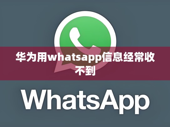 华为用whatsapp信息经常收不到