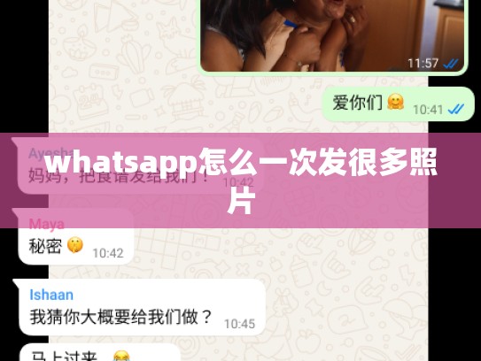 whatsapp怎么一次发很多照片
