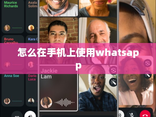 怎么在手机上使用whatsapp
