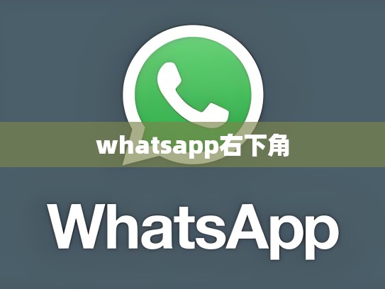 whatsapp右下角