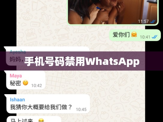 手机号码禁用WhatsApp