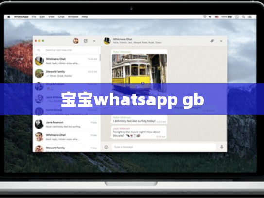 宝宝whatsapp gb