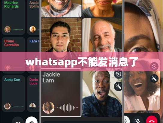 whatsapp不能发消息了