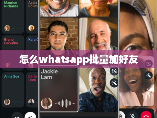 怎么whatsapp批量加好友