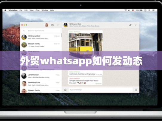 外贸whatsapp如何发动态