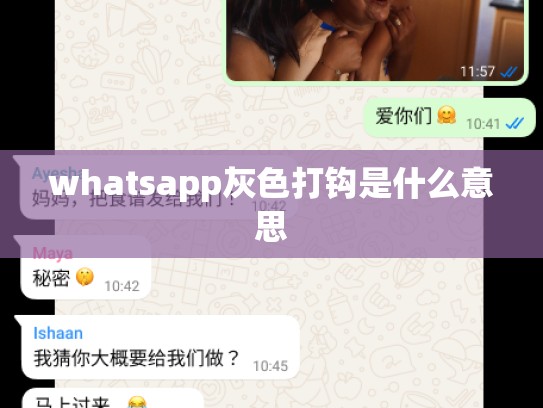 whatsapp灰色打钩是什么意思