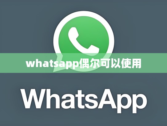 whatsapp偶尔可以使用