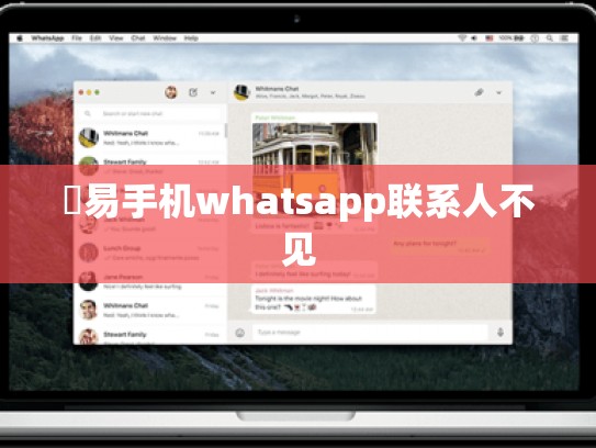 潑易手机whatsapp联系人不见