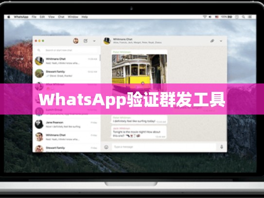 WhatsApp验证群发工具