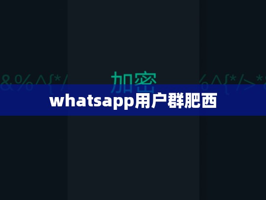 whatsapp用户群肥西