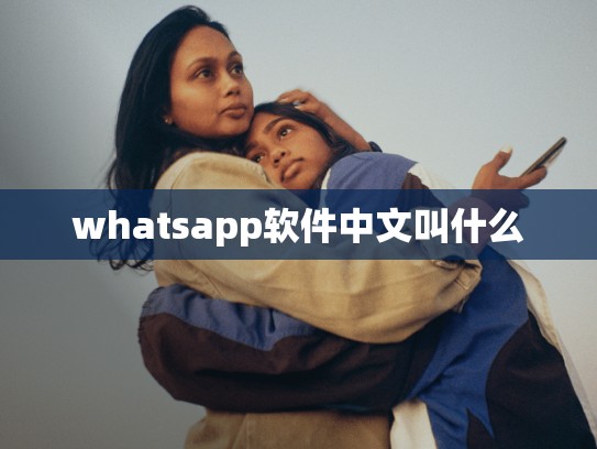 whatsapp软件中文叫什么