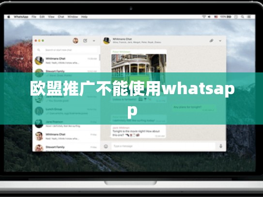 欧盟推广不能使用whatsapp