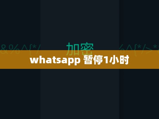 whatsapp 暂停1小时