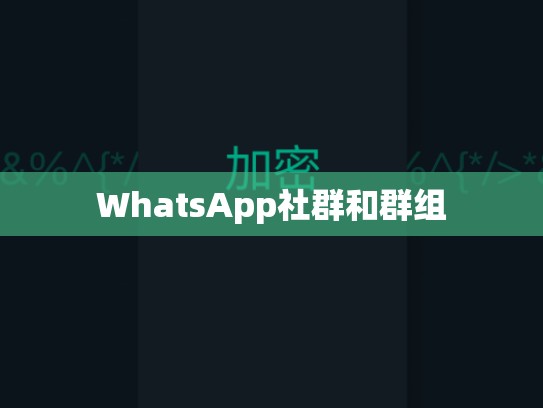 WhatsApp社群和群组
