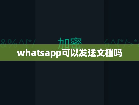 whatsapp可以发送文档吗