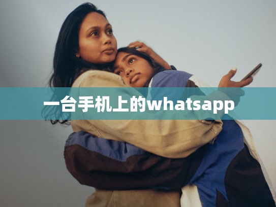 一台手机上的whatsapp